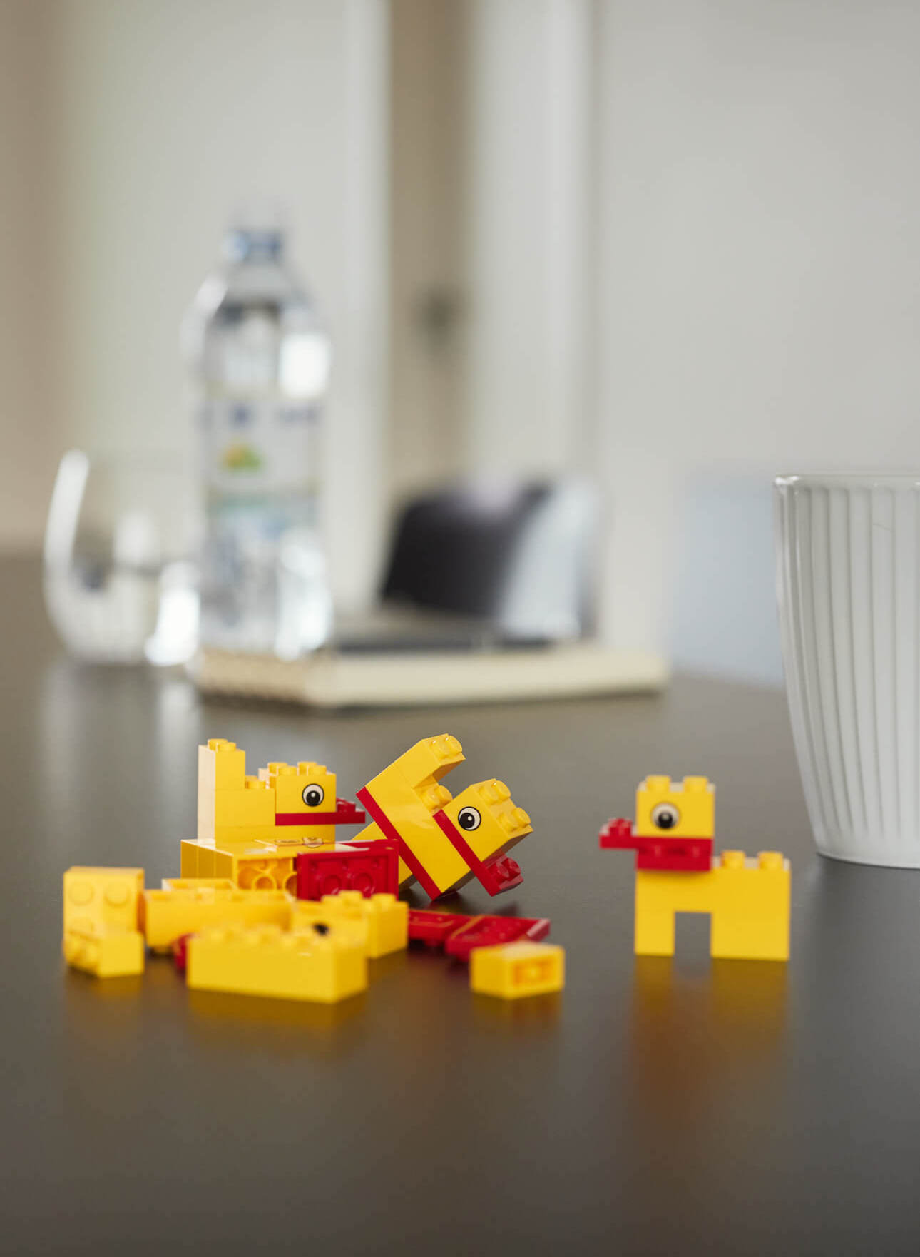 Brandingfotos_Jette Schrum_crop